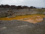 chichibu plant yellow pond